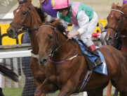 Beverley Races
