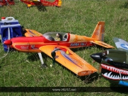 Radio Controlled Planes, Beverley Westwood