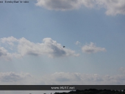 Radio Controlled Planes, Beverley Westwood