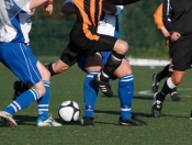 Hodgsons FC
