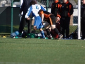 Hodgsons FC