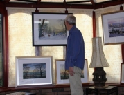Robin Storey