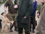 Pheasant Shooting