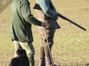 Pheasant Shooting