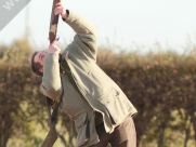 Pheasant Shooting