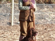 Pheasant Shooting
