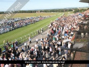 That Friday Feeling: Beverley Races