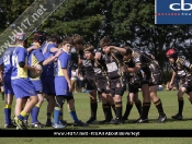Beverley Braves