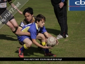 Beverley Braves