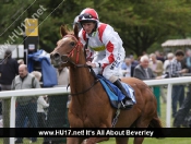 Tuesday Afternoon @ Beverley Races