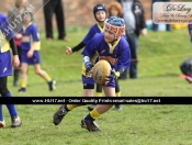 Beverley Braves