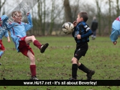 Beverley Whitestar