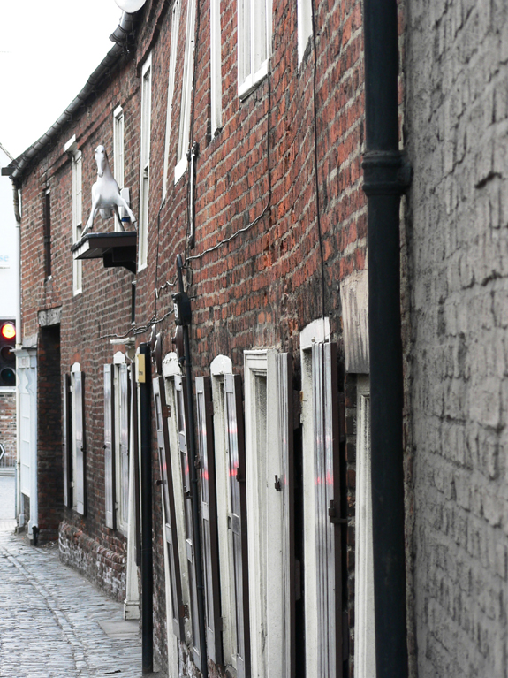 White Horse Inn - Nellies, Beverley HU17