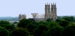 The role of unpaid carers throughout the East Riding of Yorkshire is to be celebrated with a special...