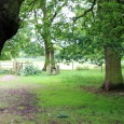 Burton Bushes consists of approximately 26 acres of natural woodland on the western boundary of the pasture. The...