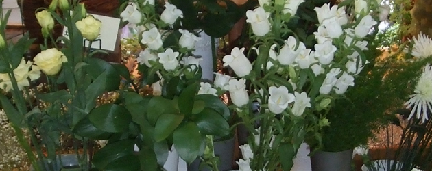 Glenholme Florists is internationally renowned for providing stunning bespoke floral designs for all occasions. Run...
