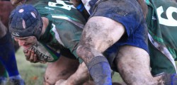 Beavers Set To Face Stiff Test Against Darlington Mowden Park Having ended their losing streak with a sketchy win over fellow strugglers Altrincham Kersal last...