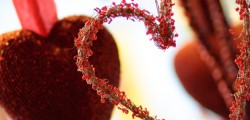 Spend Valentines at dine on the ROWE ‘The dine on the ROWE Valentines menu has been put together to create a romantic...