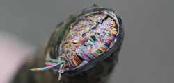 No Let Up In Campaign for Better Broadband East Riding councillors Jane Evison and Jonathan Owen (East Wolds and Coastal) recently met with...