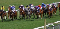 Breathless Kiss Claims Feature Race Win at Beverley The prolific Kevin Ryan/ Philip Makin partnership was in top form as they claimed the...
