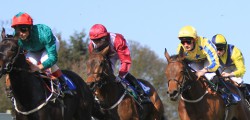 Dettori Guns For Westwood Double The appearance of Frankie Dettori at Beverley Racecourse’s Hilary Needler Trophy night could spell double...