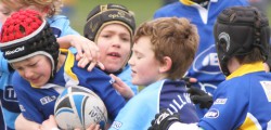 Beverley Braves under 8s were beaten 11-4 at Longcroft  by West Hull A who were...