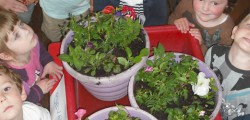 As part of their keen interest to involve local schools, community groups and local businesses, the Beverley in...