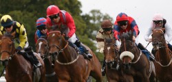 Burke Falls Short Of Tribal Myth Hat-Trick Julie Burke and Tribal Myth couldn’t live up to their star billing at Beverley this...