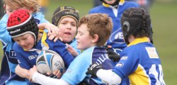 Beverley Braves under-nines’ six-match unbeaten run came to an end at Holderness Vikings earlier this...