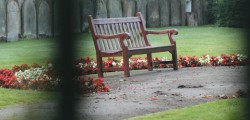 Residents in Beverley woke up this morning to discover that Coronation Gardens had been vandalised. The suspects were...