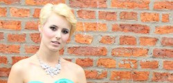It is with great pleasure that The Fairy Godmothers are providing a gown for Miss...