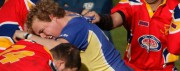Bevelrey-ARLC