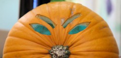 With thousands of pumpkins ending up in landfill across the area  at this time of the year, East...