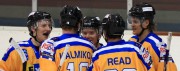 Hull Stingrays