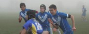 HarryBell-Header