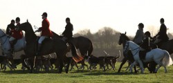 Hundreds of people gathered on the Beverley Westwood near to Beverley Racecourse for the traditional Holderness Hunt Supporters...