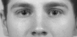 Humberside Police have released an EVO fit of a man they would like to identify following an alleged...