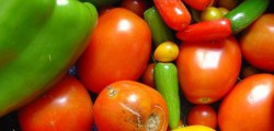 Whilst vegetarian recipes may have once been limited and somewhat restrictive, they are now available...