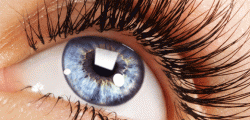 Eyesite Opticians To Bring New Treatment For Ladies To Beverley A natural product which grows your eyelashes and gives your eyes definition and style? It’s the beauty equivalent of the holy grail!