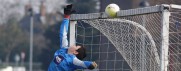 AFC Tickton