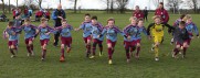 Pip Pip Hooray: Pearson’s Delight As Cougars Win Title