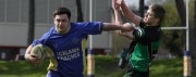 Blue & Golds Unlucky Again Lions