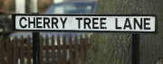 Cherry Tree Lane, Beverley