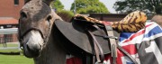 Diamond Jubilee Donkey Derby At Beverley Racecourse