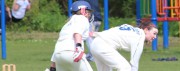 Womens Cricket