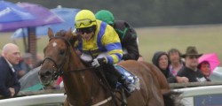 Punters enjoyed an afternoon at Beverley Racecourse on a day that saw one horse, Eeny Mac complete a hat trick of wins at the Westwood course.
