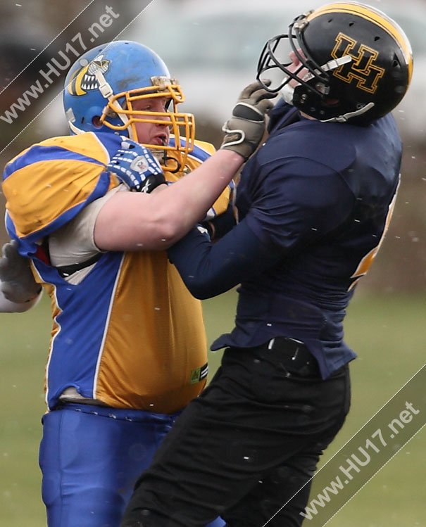 AMERICAN FOOTBALL : Hull Sharks Stung By Killer Bees