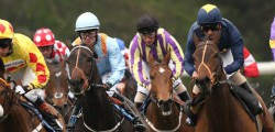 Beverley Racecourse hosted their second meeting of the season with a seven-card fixture list. Not sure of how the weather would pan out I opted to shoot the day from outside the rail