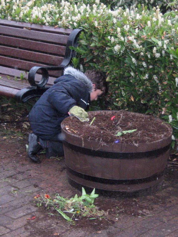 Beverley In Bloom Get Help From Local Scouts