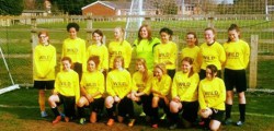 Mill Lane United Yellows fell at the last hurdle in the National Girls Football Tournament At Skelmersdale.